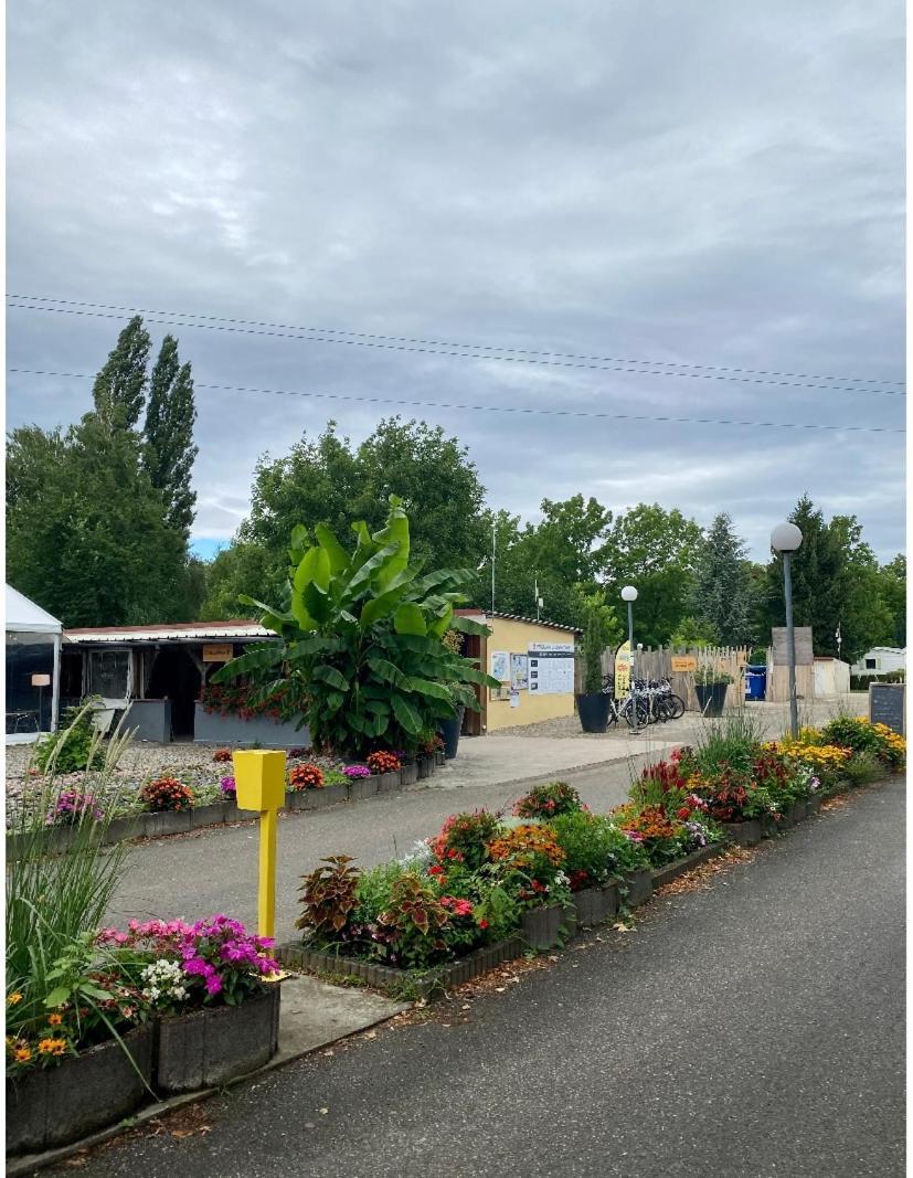 Mobile Home Proche De Europa Park Boofzheim Екстер'єр фото